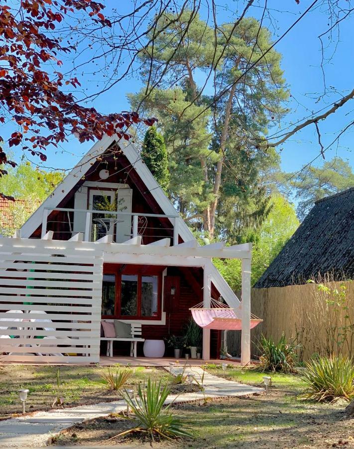Nadi'S Holiday Home - Heart Of Woods, Szentendre Island Szigetmonostor Exteriér fotografie